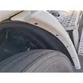 FREIGHTLINER Cascadia 113 Fender Extension thumbnail 2
