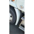 FREIGHTLINER Cascadia 113 Fender Extension thumbnail 1