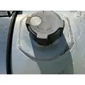 FREIGHTLINER Cascadia 113 Fuel Tank thumbnail 5
