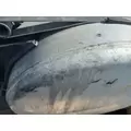 FREIGHTLINER Cascadia 113 Fuel Tank thumbnail 8