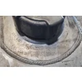 FREIGHTLINER Cascadia 113 Fuel Tank thumbnail 5