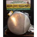 FREIGHTLINER Cascadia 113 Fuel Tank thumbnail 2