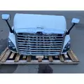 FREIGHTLINER Cascadia 113 Hood thumbnail 2