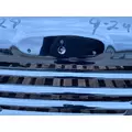 FREIGHTLINER Cascadia 113 Hood thumbnail 4