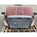 FREIGHTLINER Cascadia 113 Hood thumbnail 1