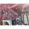 FREIGHTLINER Cascadia 113 Hood thumbnail 18