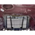 FREIGHTLINER Cascadia 113 Hood thumbnail 19