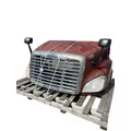 FREIGHTLINER Cascadia 113 Hood thumbnail 23