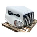FREIGHTLINER Cascadia 113 Hood thumbnail 13