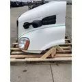 FREIGHTLINER Cascadia 113 Hood thumbnail 8