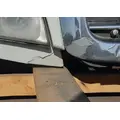 FREIGHTLINER Cascadia 113 Hood thumbnail 8