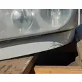 FREIGHTLINER Cascadia 113 Hood thumbnail 9