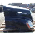 FREIGHTLINER Cascadia 113 Hood thumbnail 4