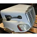 FREIGHTLINER Cascadia 113 Hood thumbnail 3