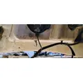 FREIGHTLINER Cascadia 113 Hood thumbnail 6