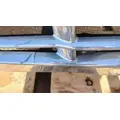 FREIGHTLINER Cascadia 113 Hood thumbnail 8