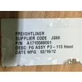 FREIGHTLINER Cascadia 113 Hood thumbnail 9