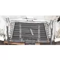 FREIGHTLINER Cascadia 113 Hood thumbnail 6