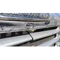 FREIGHTLINER Cascadia 113 Hood thumbnail 12