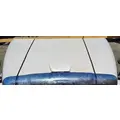 FREIGHTLINER Cascadia 113 Hood thumbnail 6
