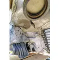 FREIGHTLINER Cascadia 113 Hood thumbnail 6