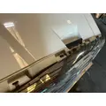 FREIGHTLINER Cascadia 113 Hood thumbnail 7