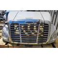 FREIGHTLINER Cascadia 113 Hood thumbnail 1