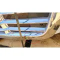 FREIGHTLINER Cascadia 113 Hood thumbnail 11