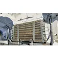 FREIGHTLINER Cascadia 113 Hood thumbnail 8