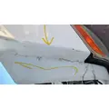 FREIGHTLINER Cascadia 113 Hood thumbnail 10