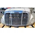 FREIGHTLINER Cascadia 113 Hood thumbnail 2