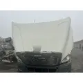 FREIGHTLINER Cascadia 113 Hood thumbnail 1