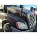 FREIGHTLINER Cascadia 113 Hood thumbnail 2
