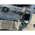 FREIGHTLINER Cascadia 113 Hood thumbnail 5