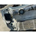 FREIGHTLINER Cascadia 113 Hood thumbnail 6