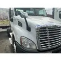 FREIGHTLINER Cascadia 113 Hood thumbnail 3