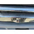 FREIGHTLINER Cascadia 113 Hood thumbnail 4