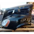 FREIGHTLINER Cascadia 113 Hood thumbnail 2