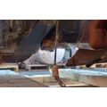 FREIGHTLINER Cascadia 113 Hood thumbnail 7