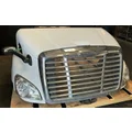FREIGHTLINER Cascadia 113 Hood thumbnail 1