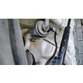 FREIGHTLINER Cascadia 113 Hood thumbnail 9
