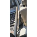 FREIGHTLINER Cascadia 113 Hood thumbnail 2