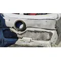 FREIGHTLINER Cascadia 113 Hood thumbnail 11