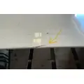 FREIGHTLINER Cascadia 113 Hood thumbnail 7