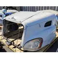 FREIGHTLINER Cascadia 113 Hood thumbnail 2