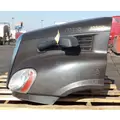 FREIGHTLINER Cascadia 113 Hood thumbnail 4