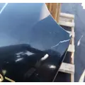 FREIGHTLINER Cascadia 113 Hood thumbnail 8