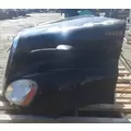 FREIGHTLINER Cascadia 113 Hood thumbnail 1