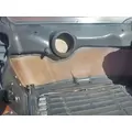 FREIGHTLINER Cascadia 113 Hood thumbnail 5