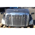 FREIGHTLINER Cascadia 113 Hood thumbnail 1